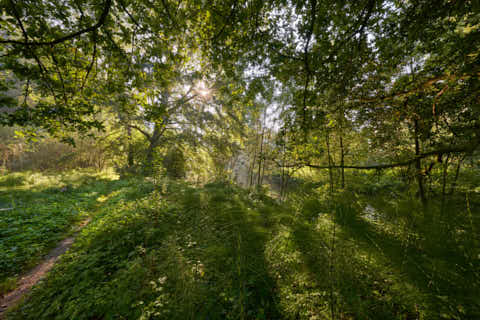 Gemeinde Winhöring Landkreis Altötting Steinhöring Isen Landschaft Pilgerweg (Dirschl Johann) Deutschland AÖ